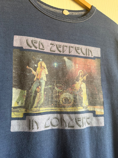 1970s Led Zeppelin In Concert Iron On
