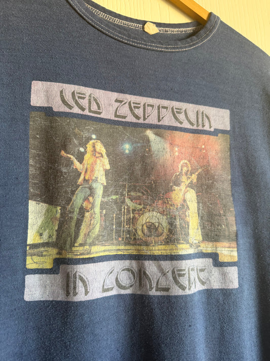 1970s Led Zeppelin In Concert Iron On